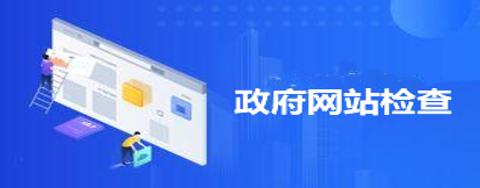 政府网站检查专栏
