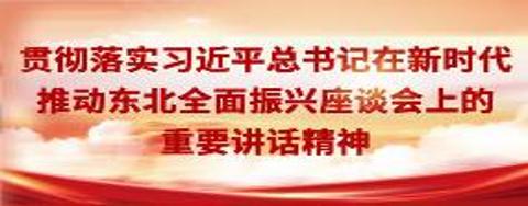 贯彻落实习近平总书记在新时代推动东北全面振兴座谈会上的重要讲话精神