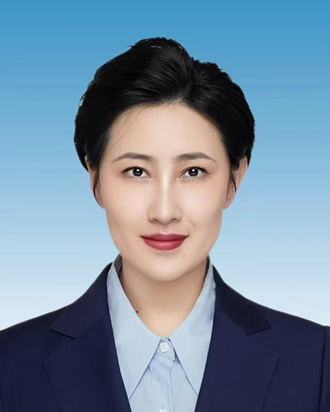 陈晨　区政府副区长