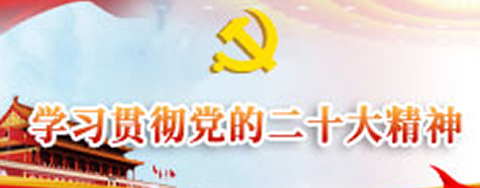 学习宣传贯彻党的二十大精神专题